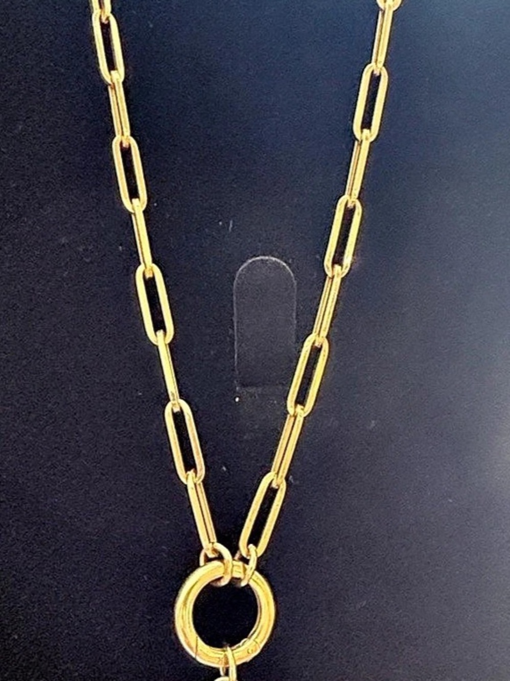 FoundRae 18k Yellow Gold Medium Clip Open Chain 22”